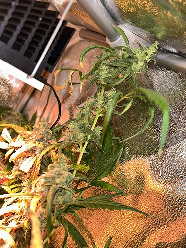Growreport Bild 6