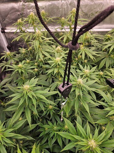 Growreport Bild 7