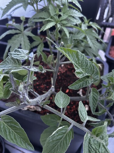 Growreport Bild 6