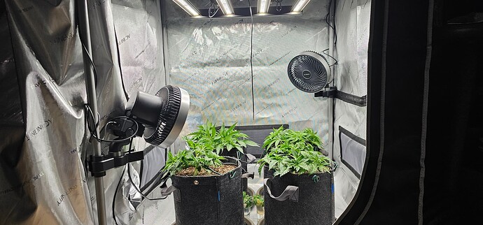 Growreport Bild 19