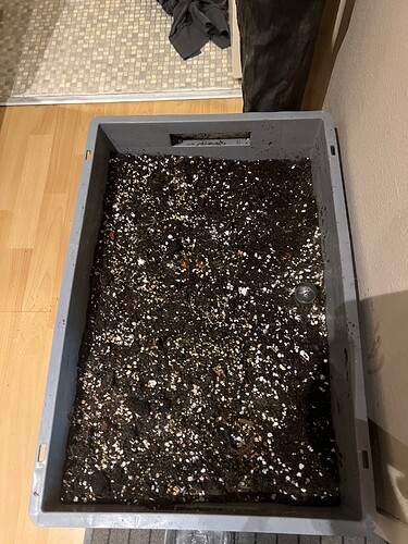 Growreport Bild 20