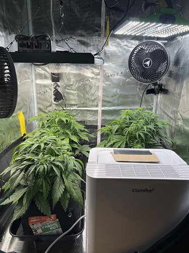 Growreport Bild 7