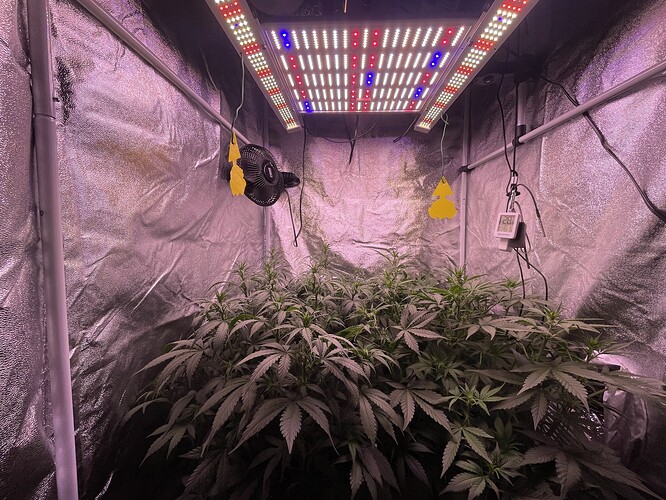 Growreport Bild 20