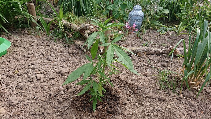 Growreport Bild 26