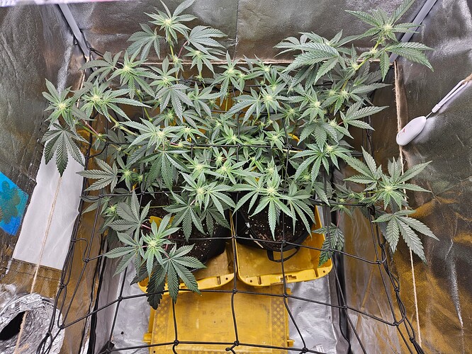 Growreport Bild 8