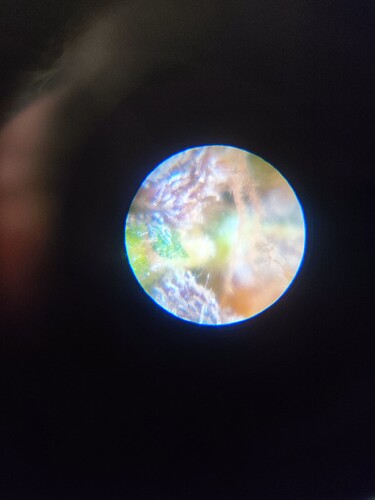 Growreport Bild 21