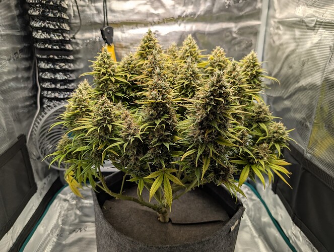 Growreport Bild 7