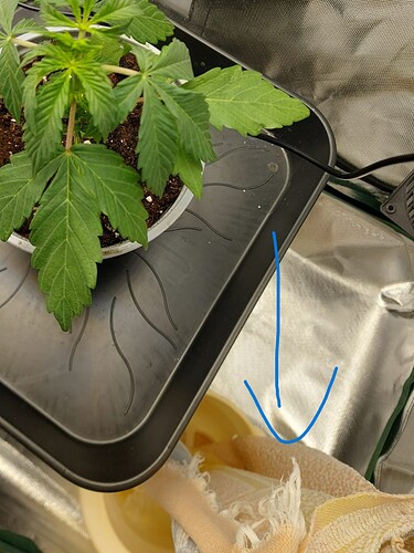 Growreport Bild 4
