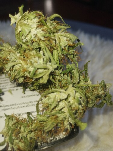 Growreport Bild 11