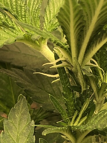 Growreport Bild 9