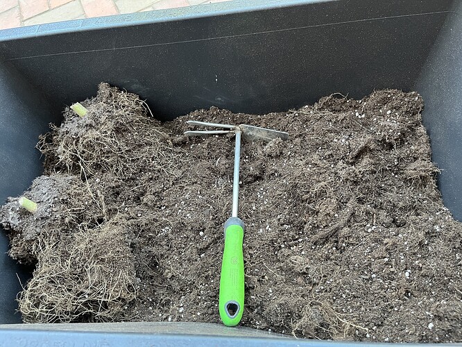 Growreport Bild 4