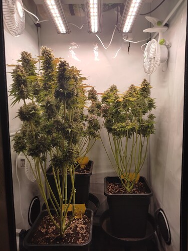 Growreport Bild 10
