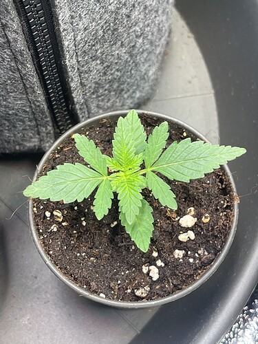 Growreport Bild 10