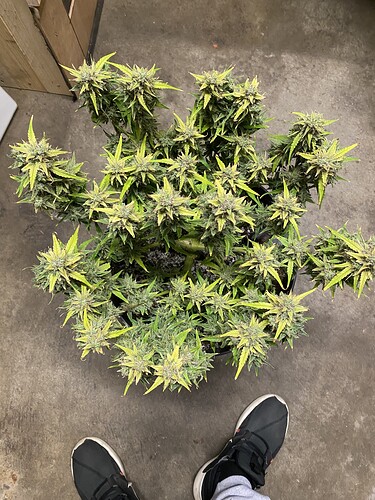 Growreport Bild 11