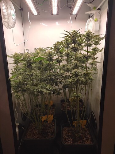 Growreport Bild 12