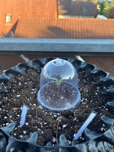 Growreport Bild 12