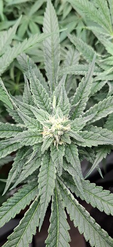 Growreport Bild 12