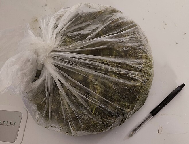 Growreport Bild 66