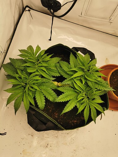 Growreport Bild 17