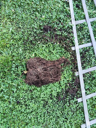 Growreport Bild 1