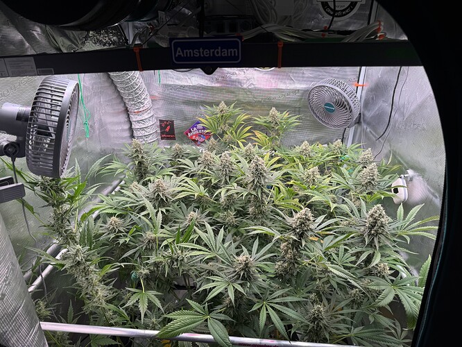Growreport Bild 2