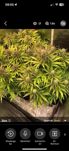 Growreport Bild 21