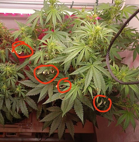 Growreport Bild 6
