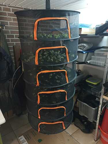 WhatsApp Bild 2024-10-31 um 10.54.43_f243d15c