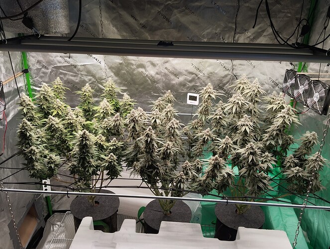 Growreport Bild 1