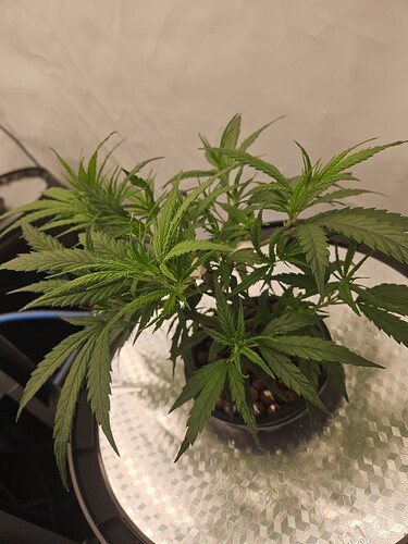 Growreport Bild 14