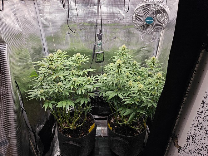 Growreport Bild 2