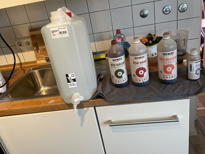 Growreport Bild 18