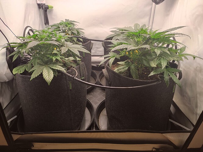 Growreport Bild 5