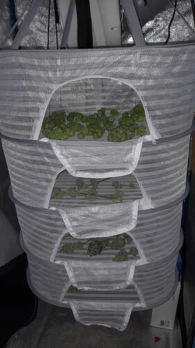 Growreport Bild 4