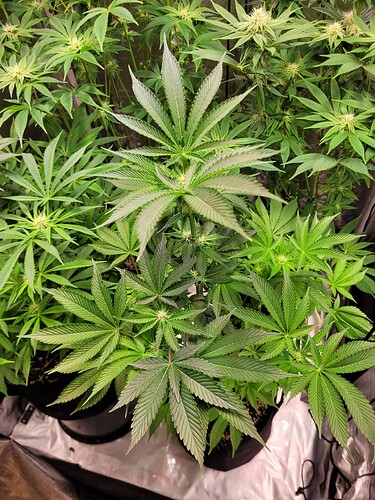 Growreport Bild 9