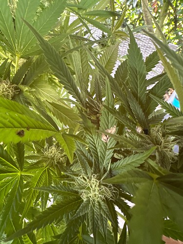 Growreport Bild 8