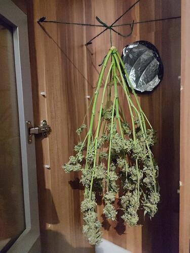 Growreport Bild 40