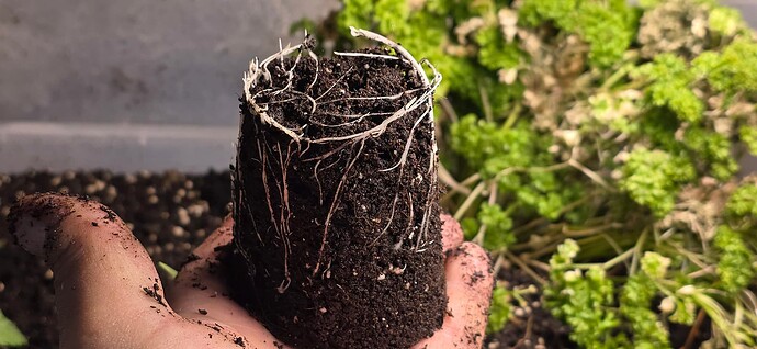 Growreport Bild 10