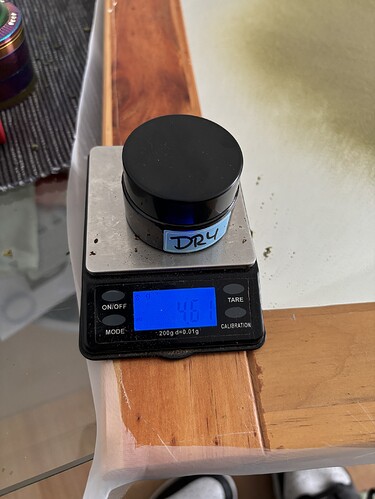 Growreport Bild 36