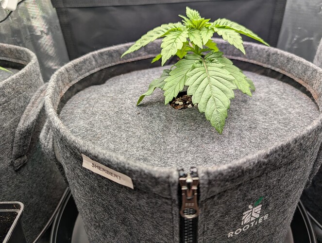 Growreport Bild 12