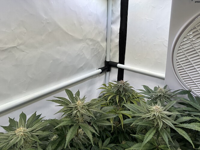 Growreport Bild 6