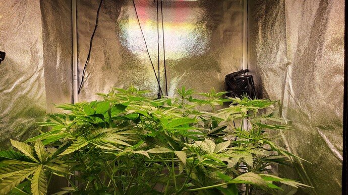 Growreport Bild 28