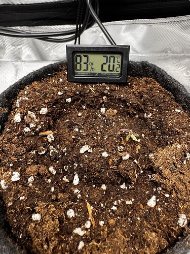Growreport Bild 7