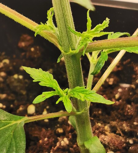 Growreport Bild 11