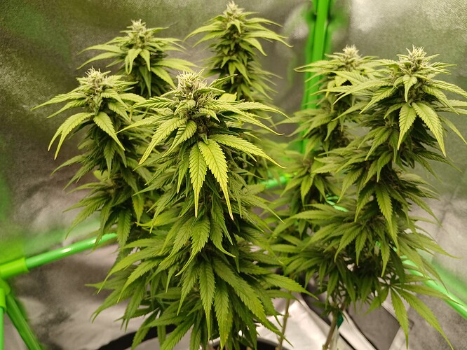 Growreport Bild 22