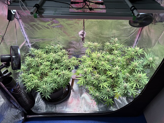 Growreport Bild 3