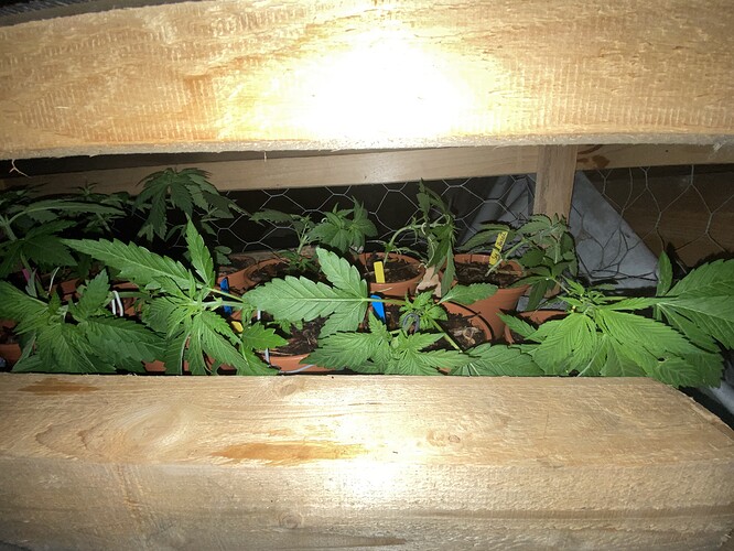 Growreport Bild 8