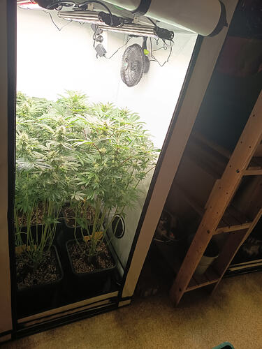 Growreport Bild 12