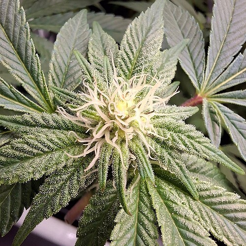 474484583_122164985744293599_1405265420442355963_n