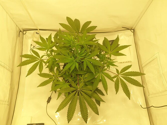 Growreport Bild 2